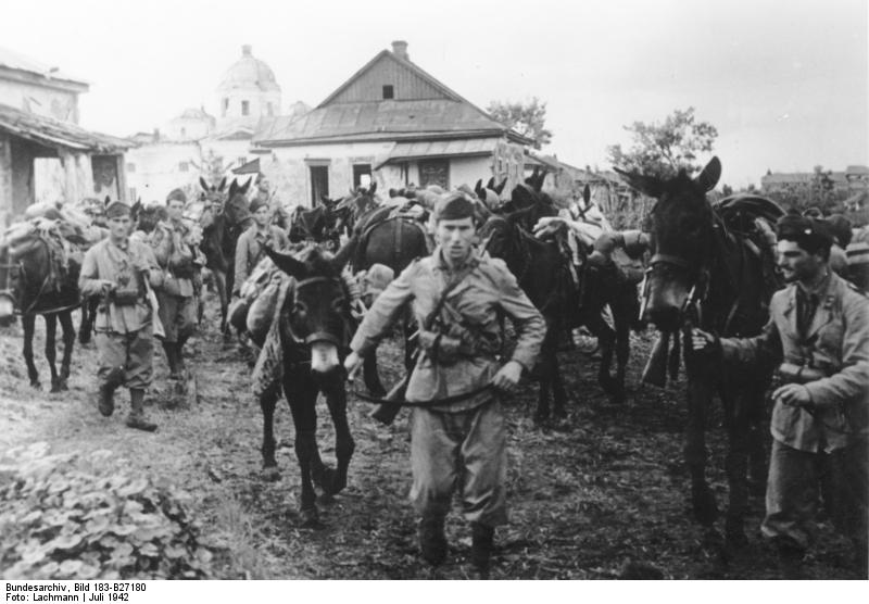 Italian Soldiers with Mules in the USSR